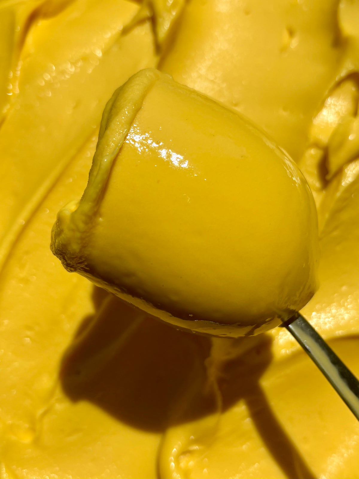 Pots de Sorbet plein fruit (1/2L)