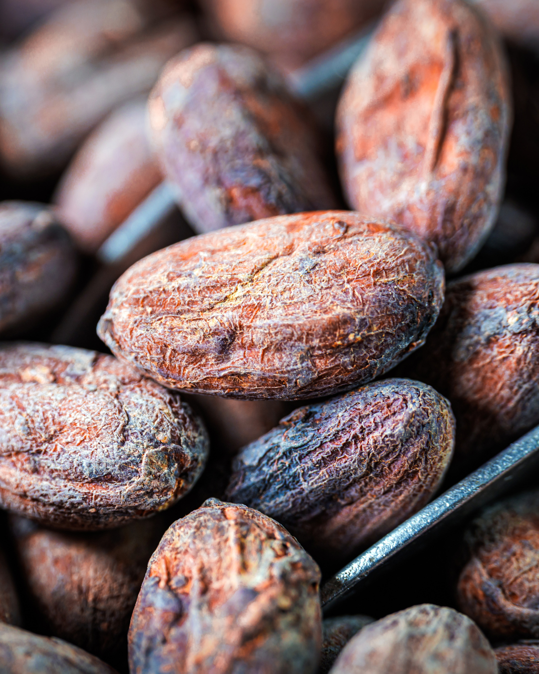 Tablette Bean to Bar Madagascar 75%