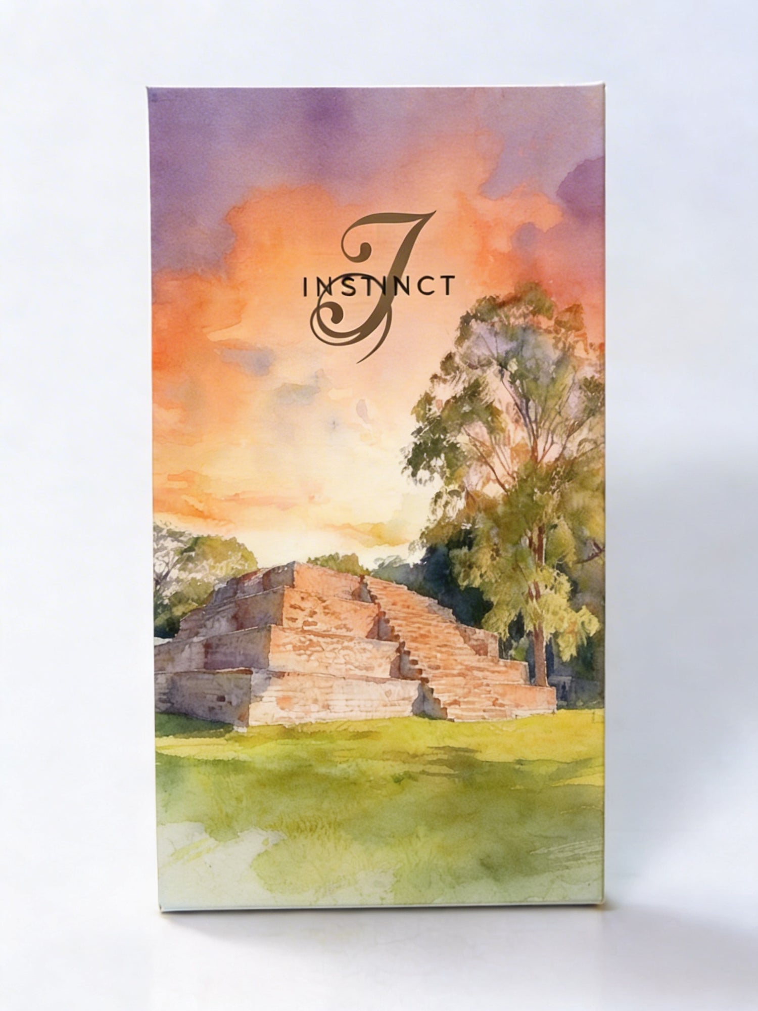 Tablette Bean to Bar Honduras 75%