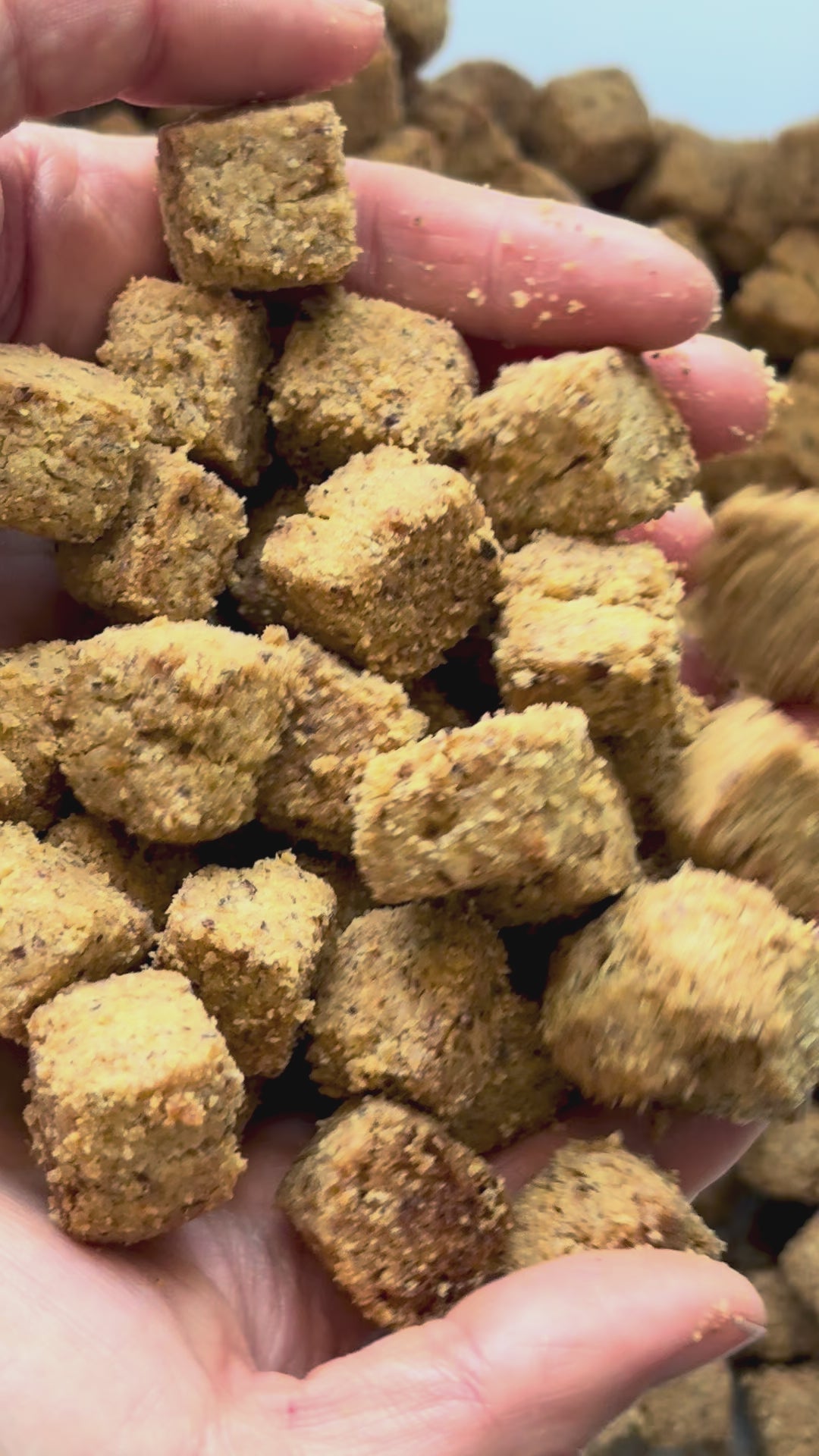 Sablés